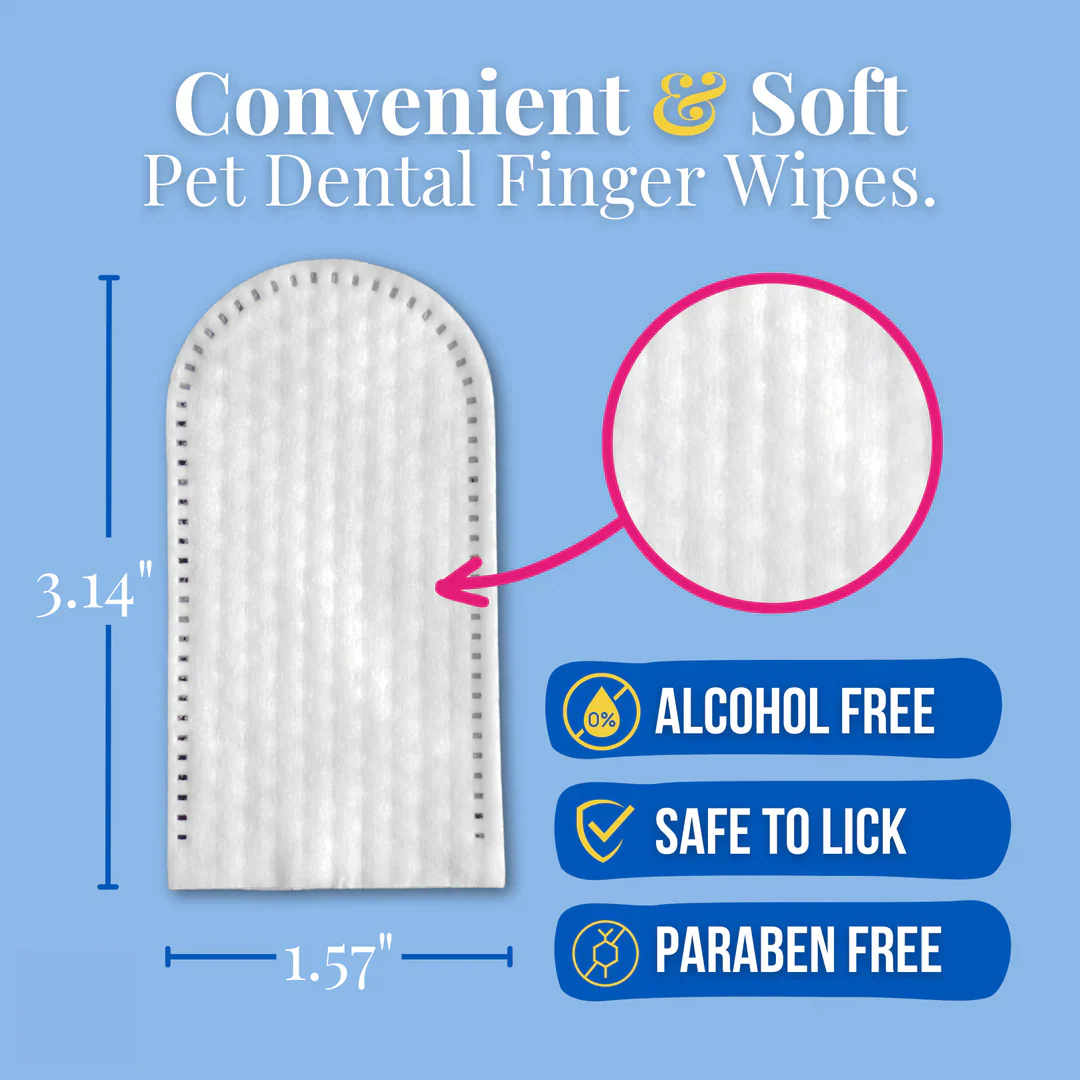 Pet Dental Wipes - Image 2