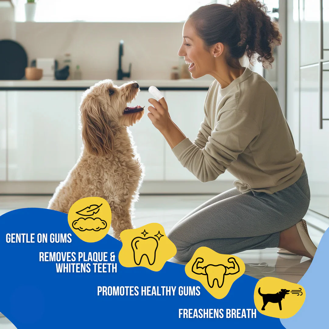 Pet Dental Wipes - Image 3