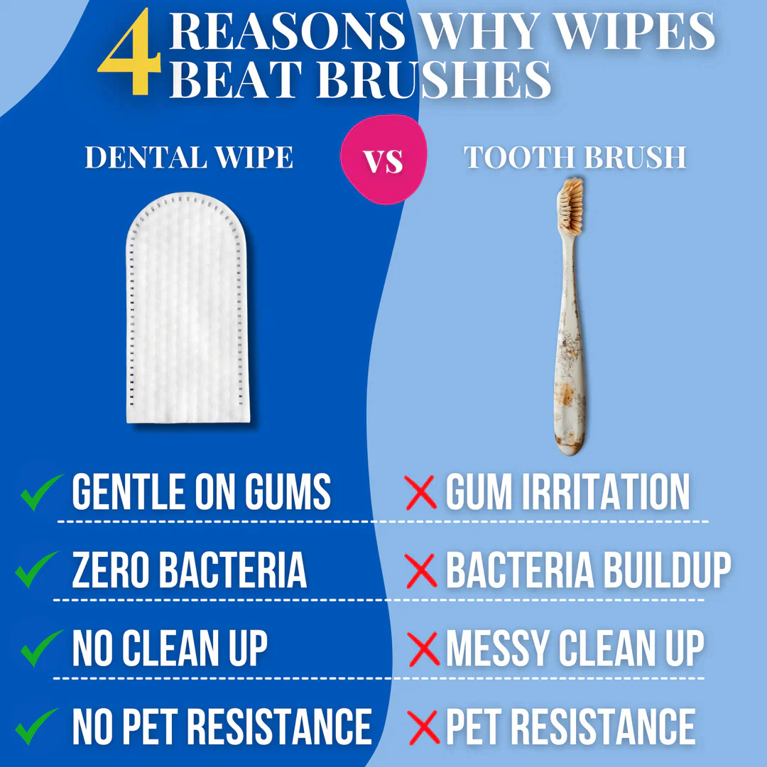 Pet Dental Wipes - Image 4